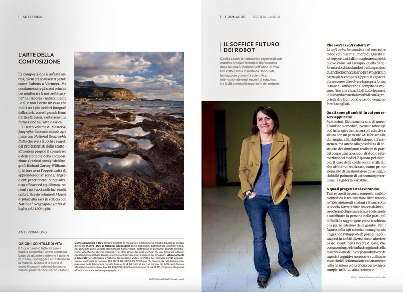 struttura di una rivista - le notizie