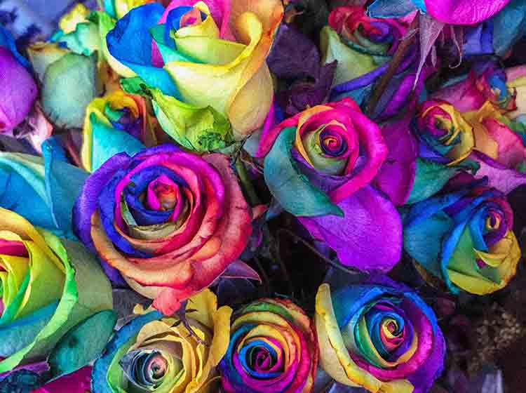 immagine a colori in formato Jpg