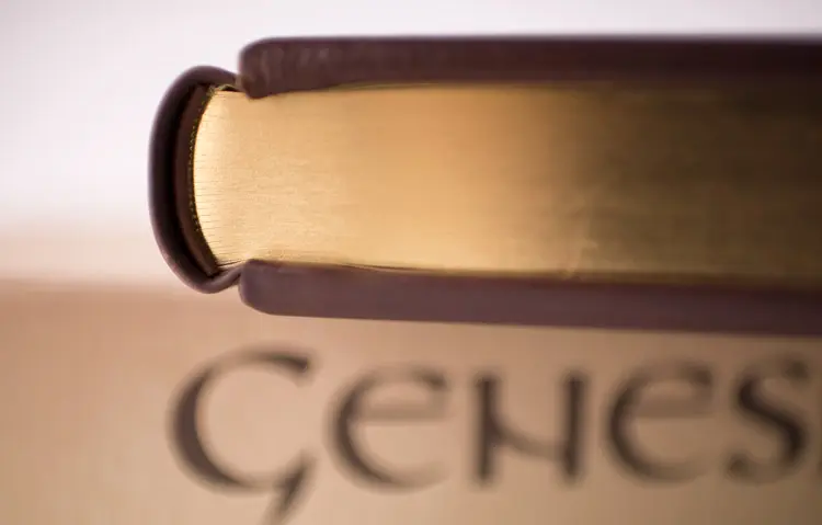 colorare il taglio del libro ha funzione decorativa e protettiva